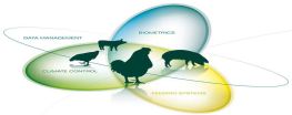 iFarming é agropecuária inteligente com ....